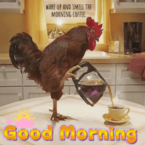 Good Morning Gif