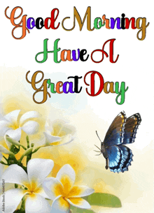 Good Morning Gif