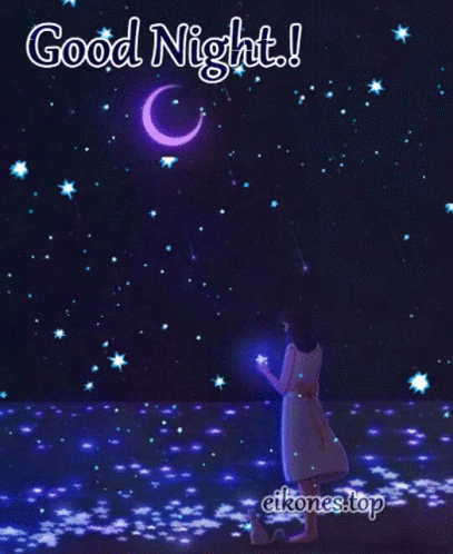 Good Night Gif