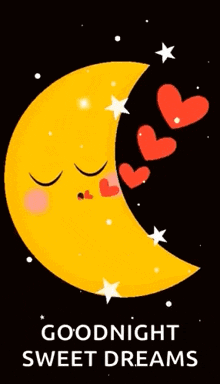 Good Night Gif