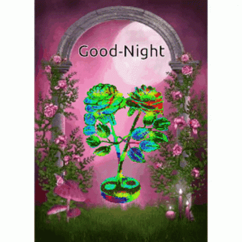 Good Night Gif