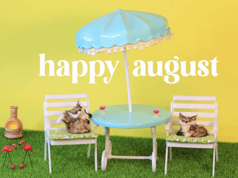 Hello August Gif