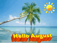 Hello August Gif
