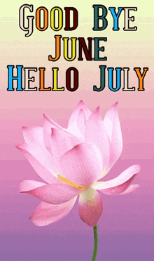 Hello July Gif
