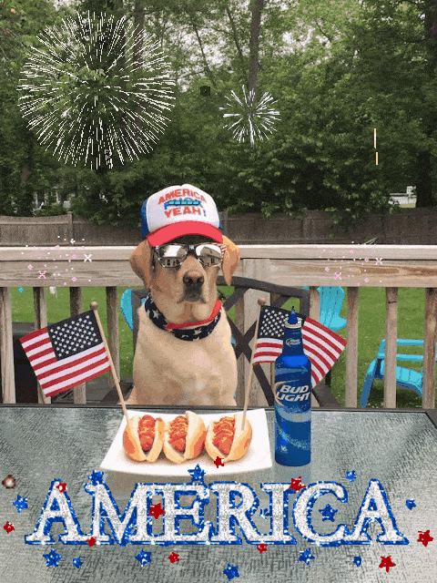 Independence Day Gif