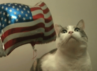 Independence Day Gif