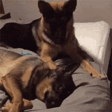 Morning Gif