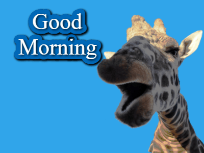 Morning Gif