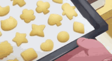 National Sugar Cookie Day Gif