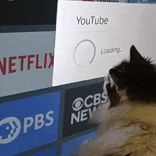 Netflix Loading Gif