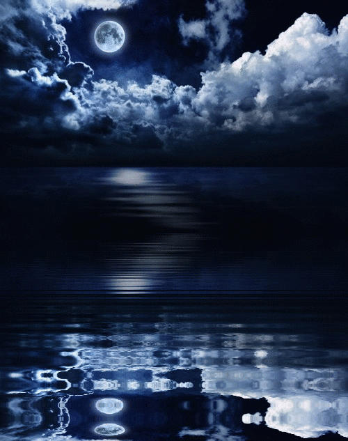 Night Gif