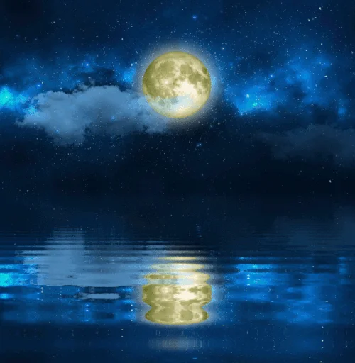 Night Gif