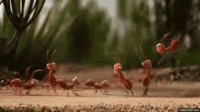 Teamwork Gif