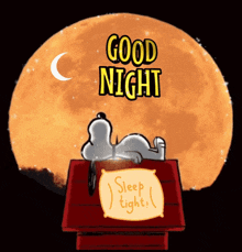 Night Gif
