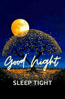 Night Gif