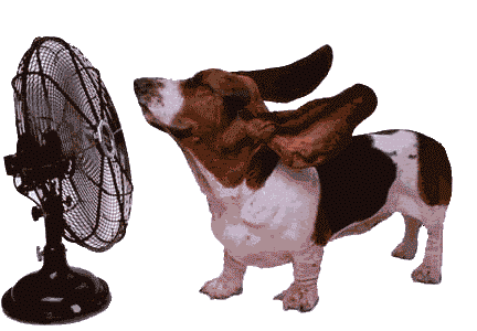 Hello August Gif