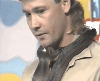 Steve Irwin Gif