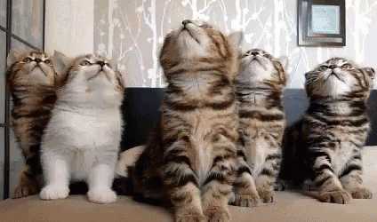 Teamwork Gif