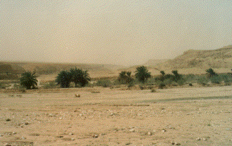 Tumbleweed Gif
