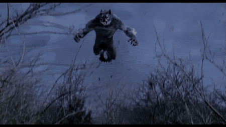 Werewolf Gif