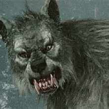 Werewolf Gif