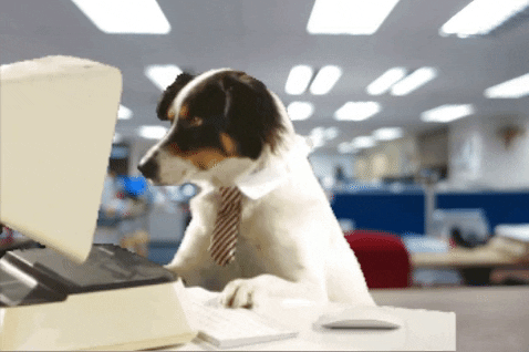 Work Gif