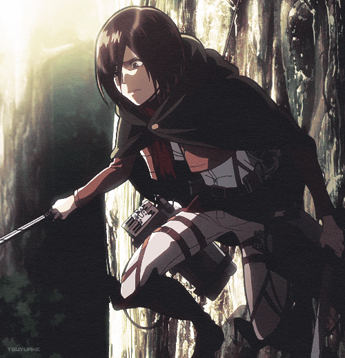 Attack On Titan Gif