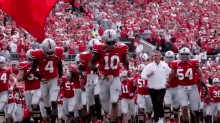 Brutus Buckeye Gif