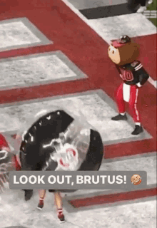Brutus Buckeye Gif