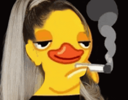Duck Smoking Gif