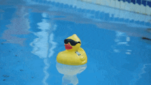 Duck Smoking Gif
