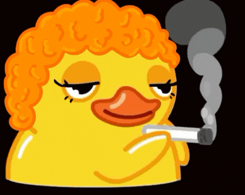 Duck Smoking Gif