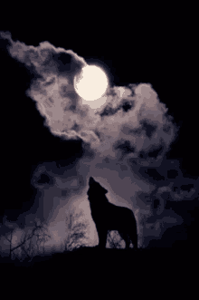 Full Moon Gif