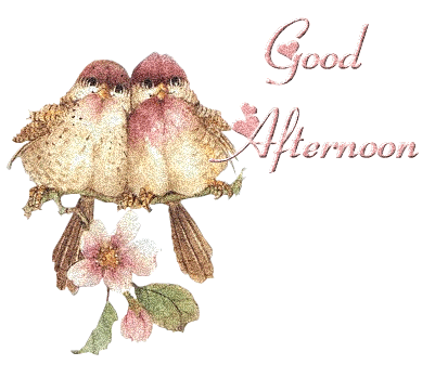 Good Afternoon Gif