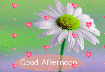 Good Afternoon Gif
