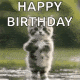 Happy Birthday Gif