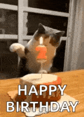 Happy Birthday Gif