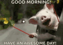 Have A Great Day Gif
