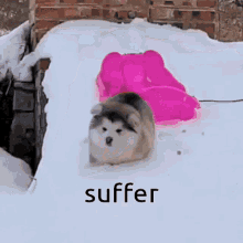 Have A Great Day Gif