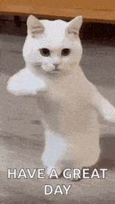 Have A Great Day Gif