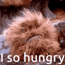 Hungry Gif
