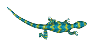 Lizards Gif