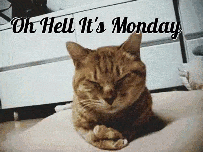 Mondays Gif