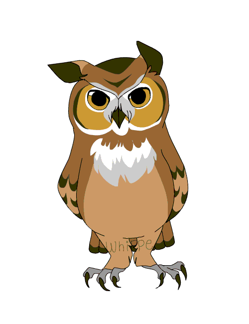 Owl Gif