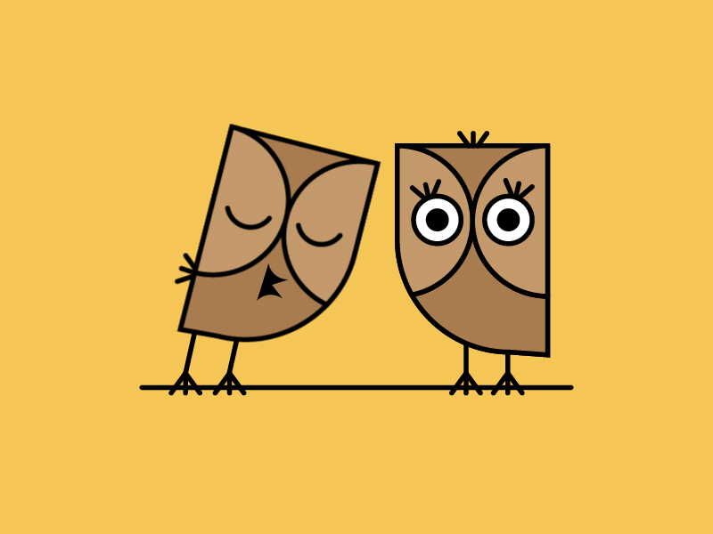 Owl Gif