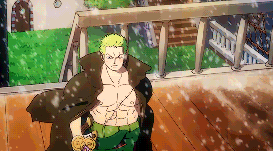 Roronoa Zoro Gif