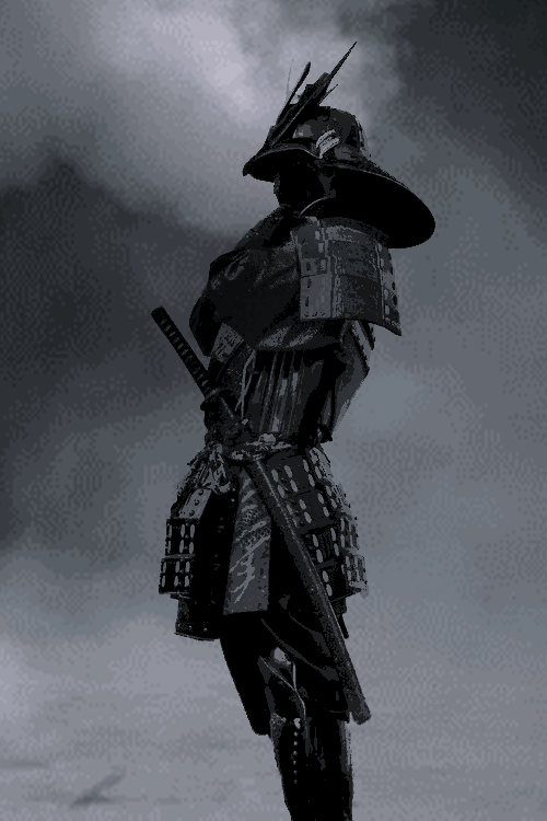 Samurai Gif