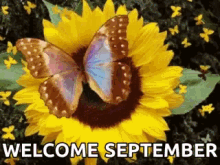 September Gif