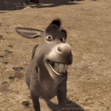 Shrek Gif