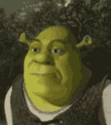 Shrek Gif